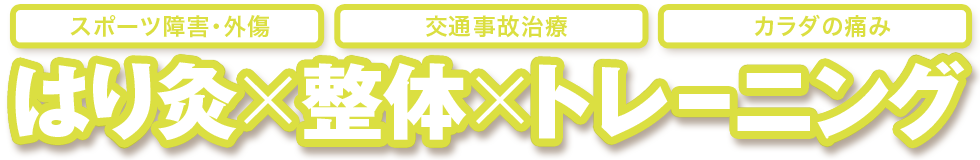 はり灸×整体×トレーニング